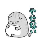 やせたい猫（個別スタンプ：26）