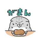やせたい猫（個別スタンプ：30）