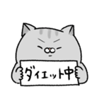 やせたい猫（個別スタンプ：31）
