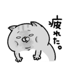 やせたい猫（個別スタンプ：36）