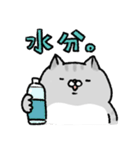 やせたい猫（個別スタンプ：38）