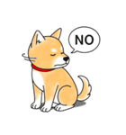 柴犬 (赤色)（個別スタンプ：5）