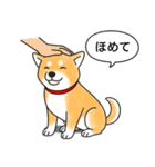 柴犬 (赤色)（個別スタンプ：6）
