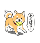 柴犬 (赤色)（個別スタンプ：10）