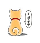 柴犬 (赤色)（個別スタンプ：18）