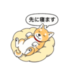 柴犬 (赤色)（個別スタンプ：21）