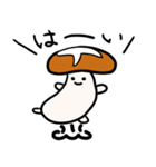 きのこ-しいたけ（個別スタンプ：1）