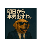 ワンちゃん大統領（個別スタンプ：5）