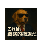 ワンちゃん大統領（個別スタンプ：17）