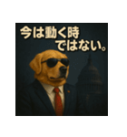 ワンちゃん大統領（個別スタンプ：24）