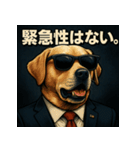 ワンちゃん大統領（個別スタンプ：25）