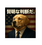 ワンちゃん大統領（個別スタンプ：34）