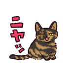 サビ猫です.（個別スタンプ：1）
