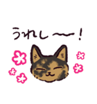 サビ猫です.（個別スタンプ：4）