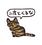 サビ猫です.（個別スタンプ：6）