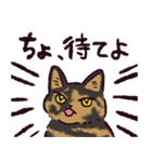 サビ猫です.（個別スタンプ：7）