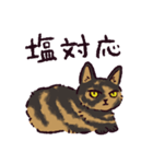 サビ猫です.（個別スタンプ：8）