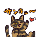 サビ猫です.（個別スタンプ：9）
