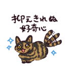 サビ猫です.（個別スタンプ：12）