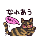 サビ猫です.（個別スタンプ：14）