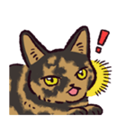 サビ猫です.（個別スタンプ：15）