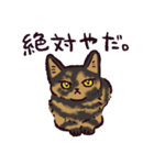 サビ猫です.（個別スタンプ：18）