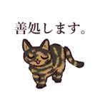 サビ猫です.（個別スタンプ：23）