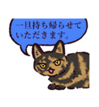 サビ猫です.（個別スタンプ：24）