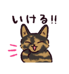 サビ猫です.（個別スタンプ：25）