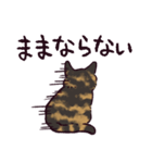 サビ猫です.（個別スタンプ：26）