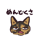 サビ猫です.（個別スタンプ：27）