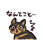 サビ猫です.（個別スタンプ：31）