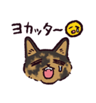 サビ猫です.（個別スタンプ：32）