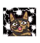 サビ猫です.（個別スタンプ：33）