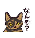サビ猫です.（個別スタンプ：35）