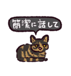 サビ猫です.（個別スタンプ：36）