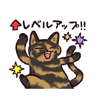 サビ猫です.（個別スタンプ：38）