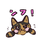 サビ猫です.（個別スタンプ：39）
