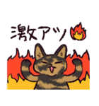 サビ猫です.（個別スタンプ：40）