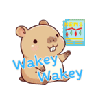 カピバラの生活 (えいご) Ver3（個別スタンプ：1）