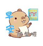 カピバラの生活 (漢字) Ver3（個別スタンプ：1）