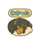 Rokuてぃ①（個別スタンプ：5）