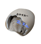Myハムくんのスタンプ（個別スタンプ：3）