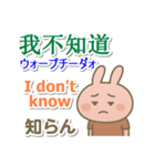 中国語（簡体）＋英語＋日本語 桃色うさぎ（個別スタンプ：37）