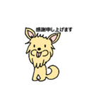 チワワのコハちゃん（個別スタンプ：1）