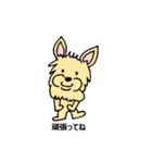 チワワのコハちゃん（個別スタンプ：4）