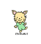 チワワのコハちゃん（個別スタンプ：8）