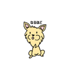 チワワのコハちゃん（個別スタンプ：10）