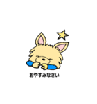 チワワのコハちゃん（個別スタンプ：14）