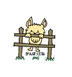 チワワのコハちゃん（個別スタンプ：16）